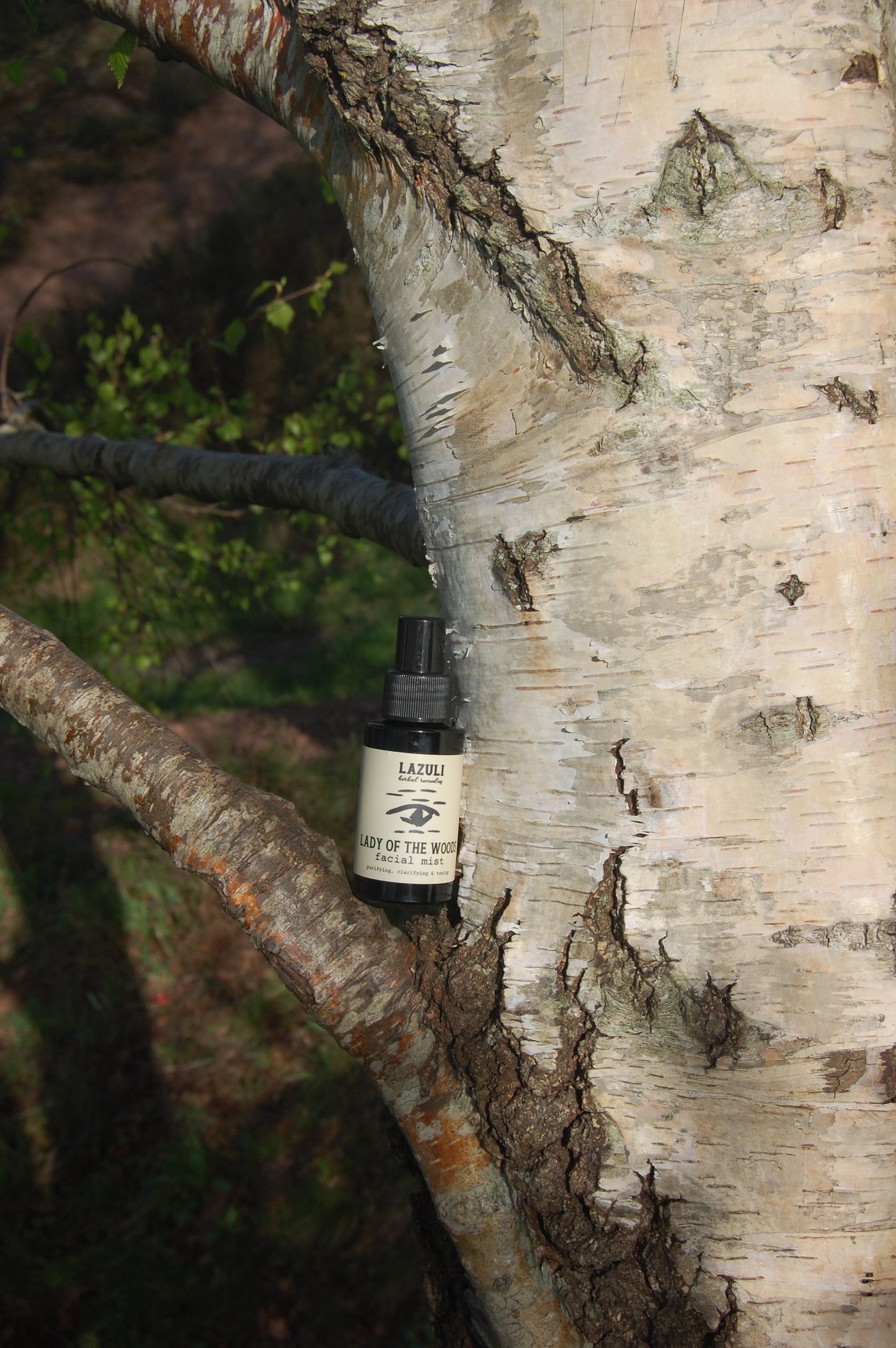 Lady of the Woods Facial Mist | Silver Birch