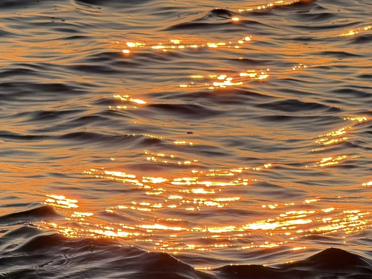 Adapting to the Sun - A Summer Guide