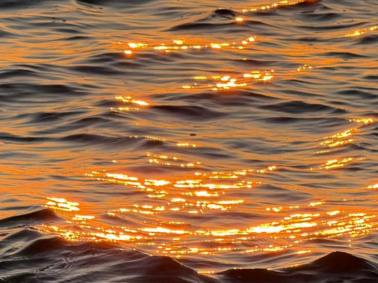Adapting to the Sun - A Summer Guide