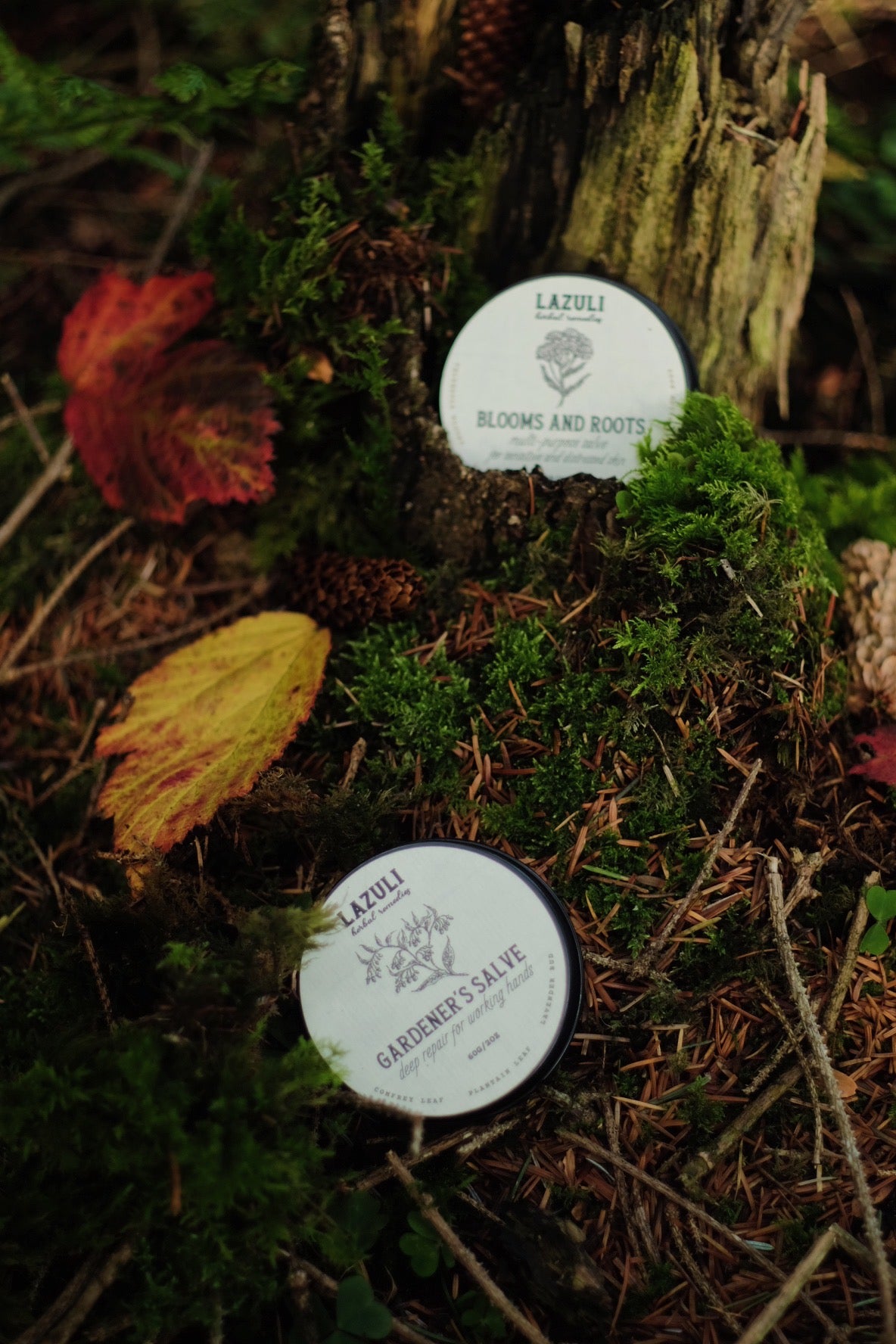 Gardener's Repair Gift Set